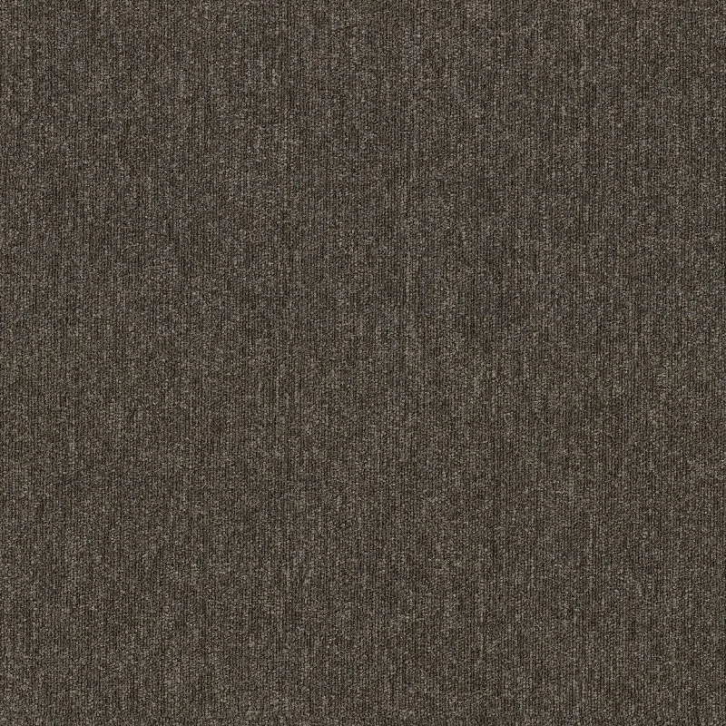 Shaw Beyond Limits 5th & Main 54936-00715 Elevation 24" X 24" Carpet Tile (80 SF/Box)