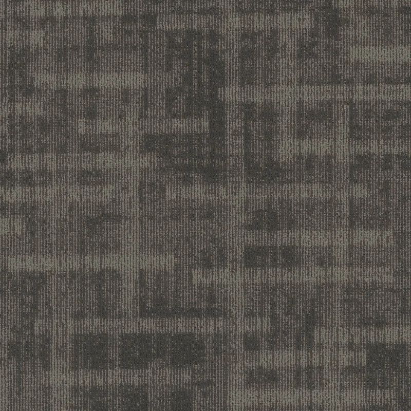 Pentz Carpet Veritas 7911T-3396 Shoo-In 24" x 24" (72 SF/Box)